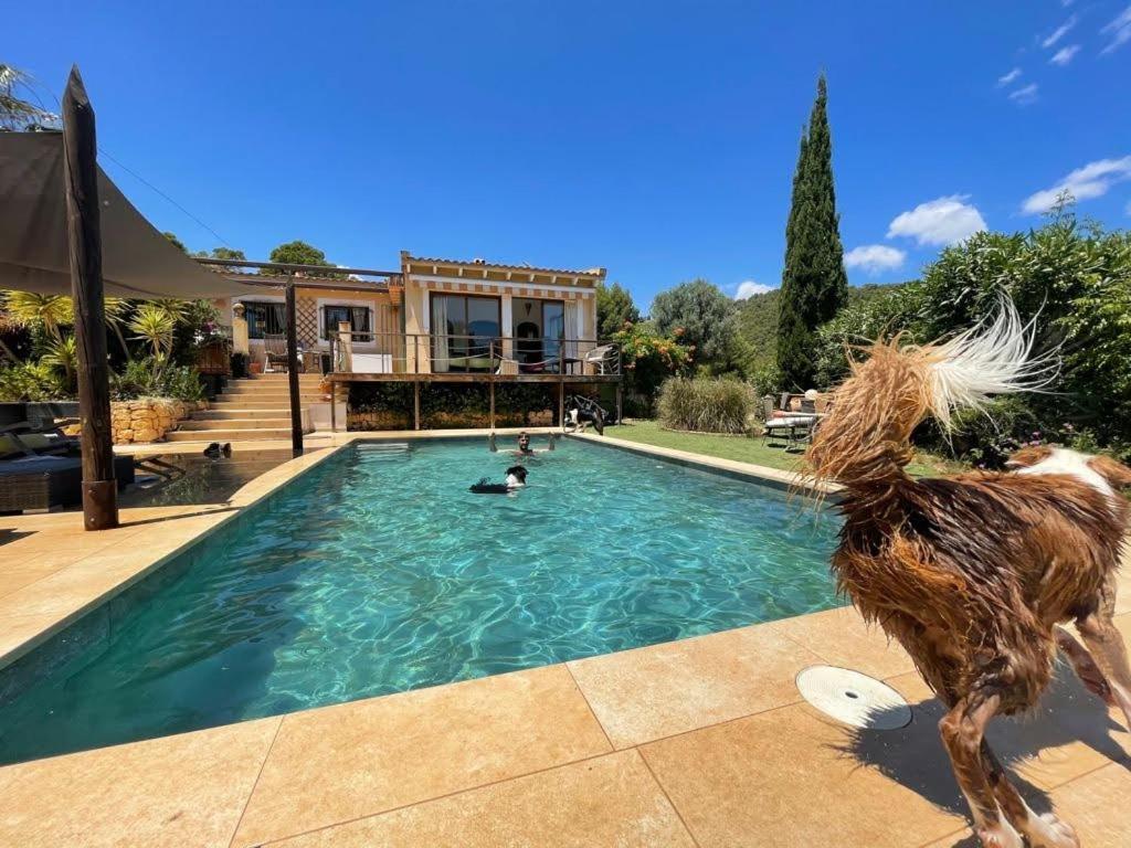 El Paraiso De Los Perros Polop Exterior photo